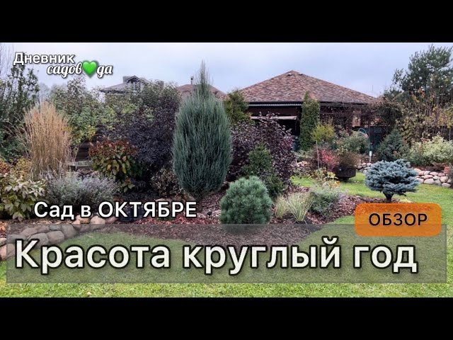 Прогулка обзор сада Растения подписаны Садовые работы осенью Хвойные Кустарники Многолетники Архив