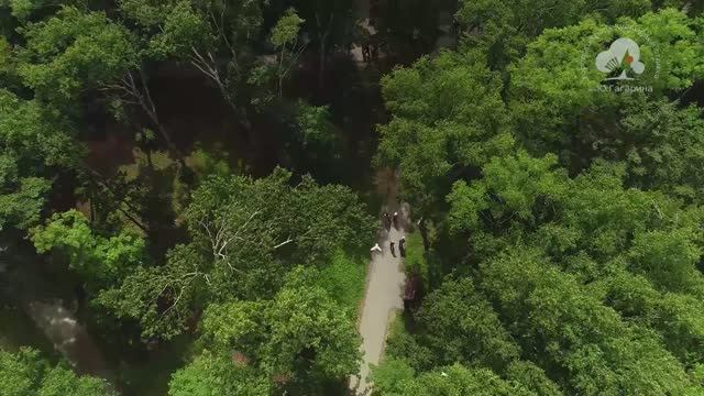 ГОРОДСКОЙ ПАРК В ЮЖНО-САХАЛИНСКЕ, Сахалинская область