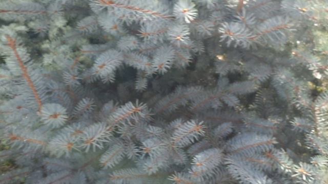 Любимый Бархатный Сентябрь❤