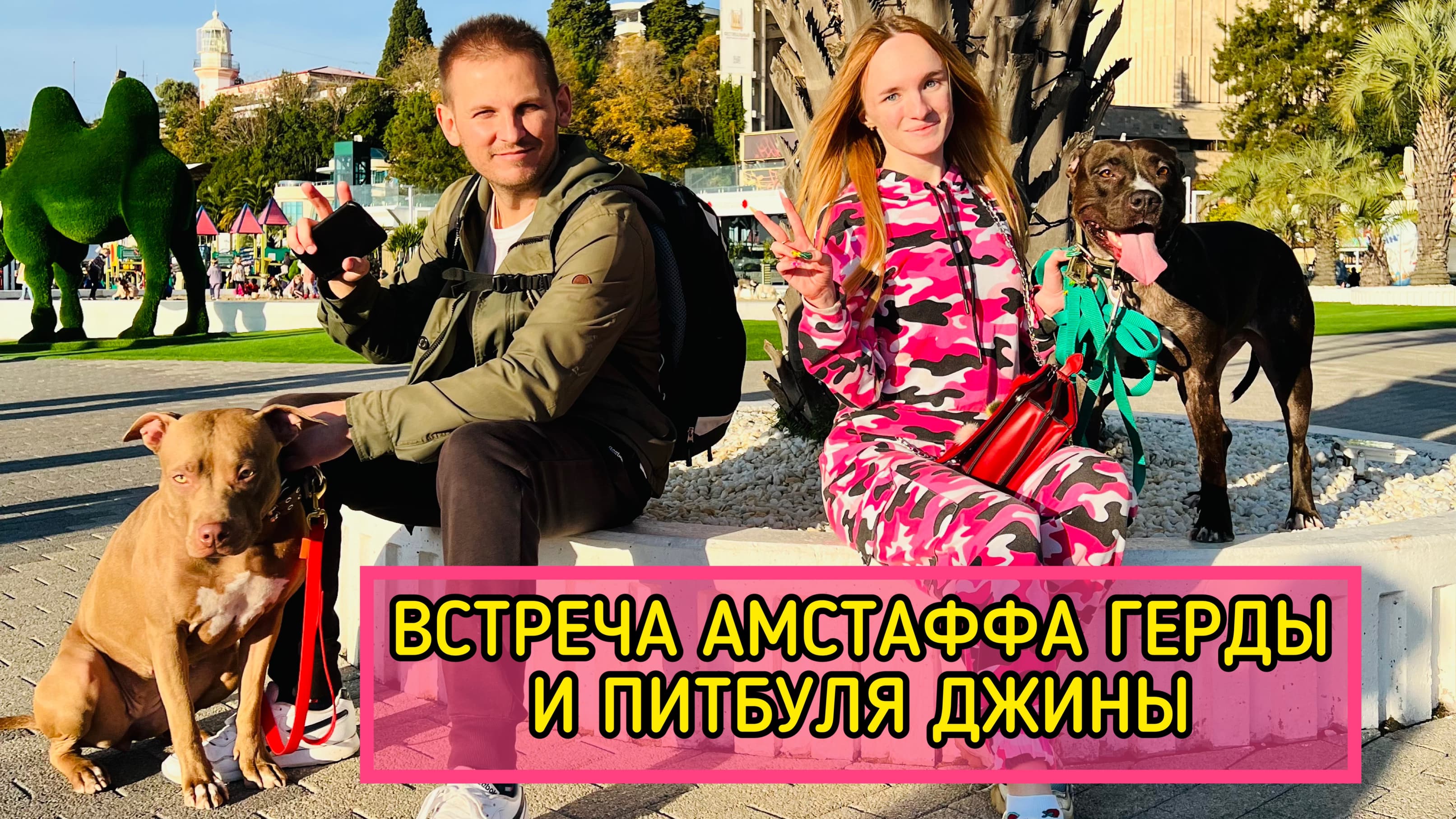 ВСТРЕЧА АМСТАФФА ГЕРДЫ И ПИТБУЛЯ ДЖИНЫ
