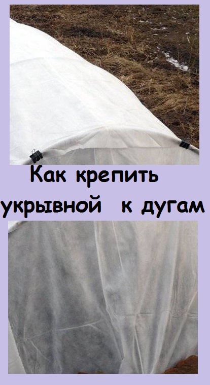 Мой надежный способ КРЕПЛЕНИЯ УКРЫВНОГО материала на дугах
#природа #сад #цветы #подпишись