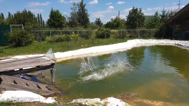 Чем можно заняться в день 60-летия_