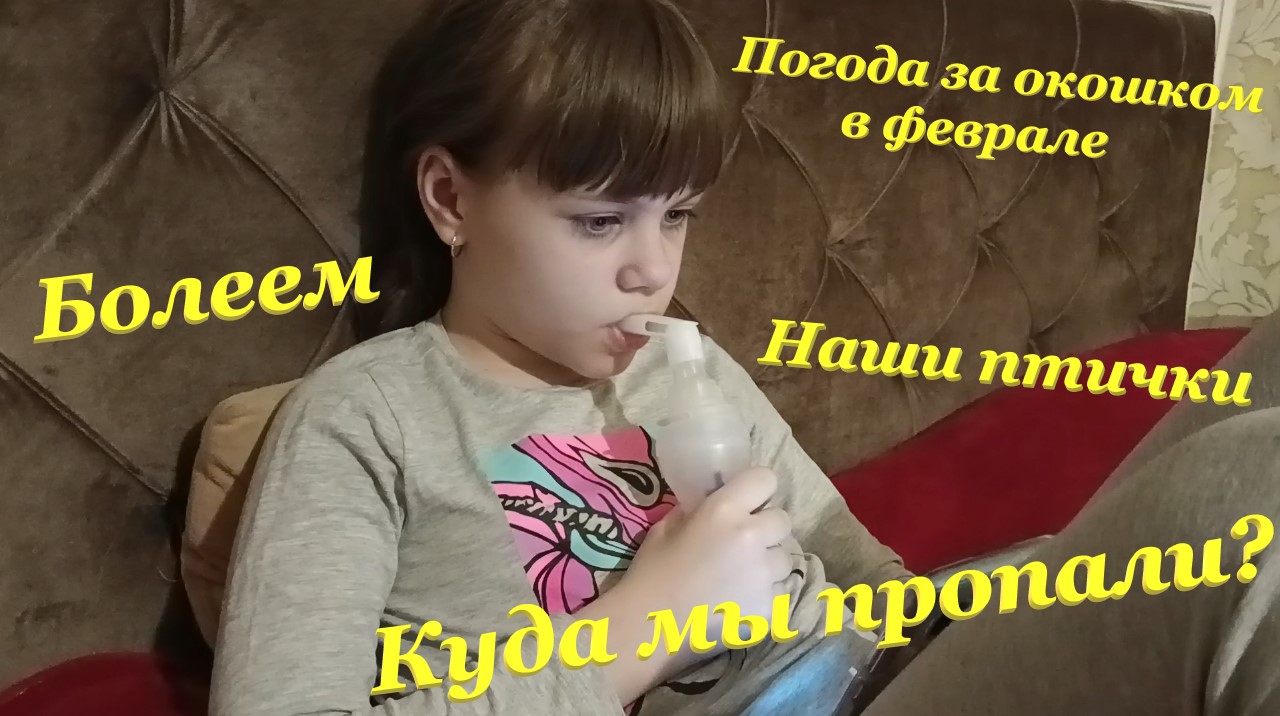 Куда мы пропали?? / Болеем? / Погода за окошком в феврале? / Наши птички?❤?