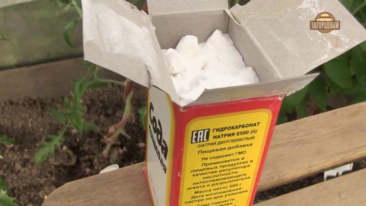 Янтарная кислота \ Удобрение из янтарной кислоты \ Фиторецепты