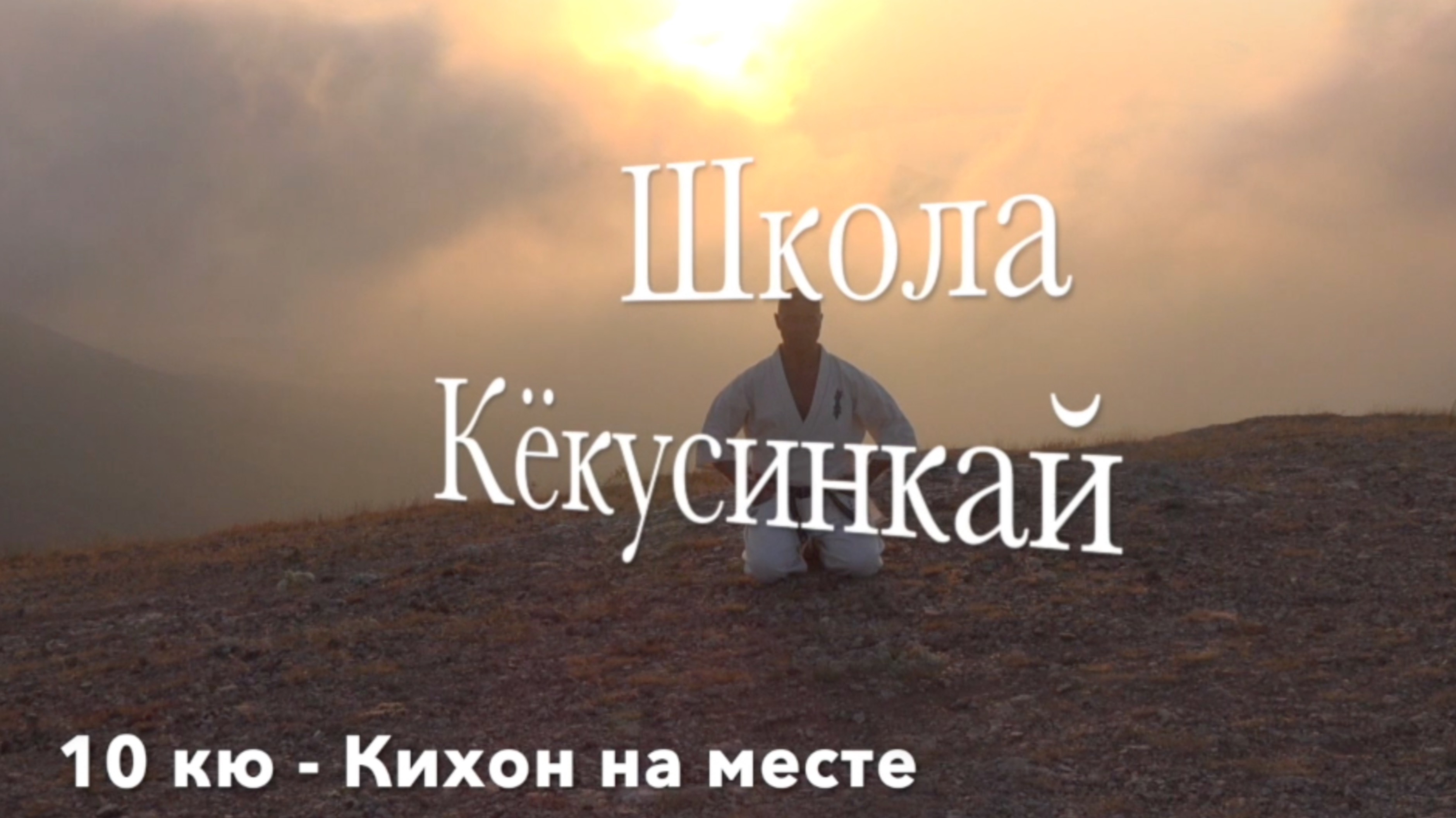 ШКОЛА КЁКУСИНКАЙ. 10 кю (Кихон на месте)