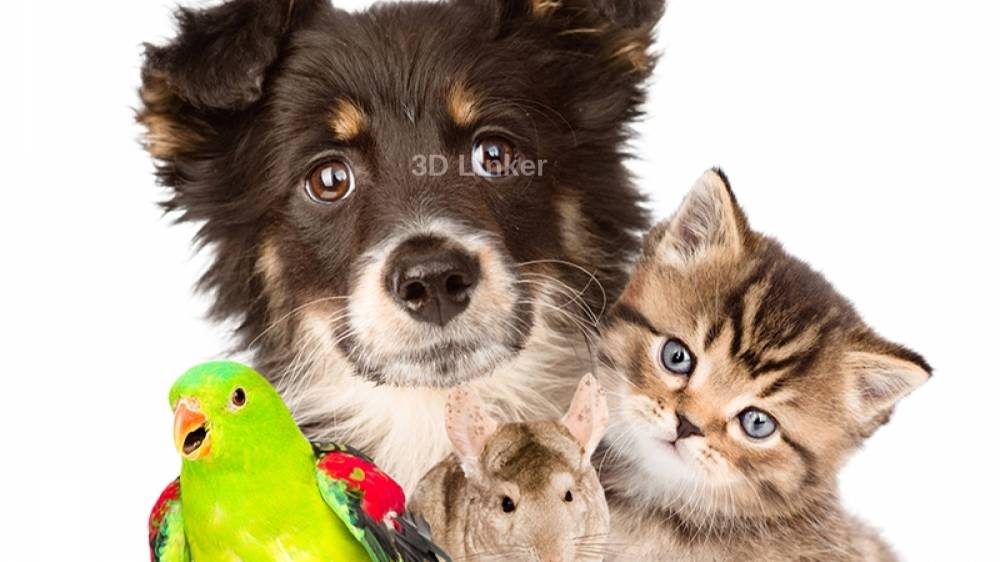 Трансфер факторы животным.