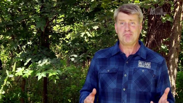 Дома на деревьях 4 серия «По всему миру Бразилия» (документальный сериал, 2015)