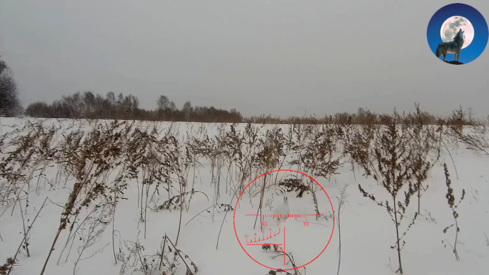 СУПЕРЭКСПРЕСС ОХОТА НА ЗАЙЦА