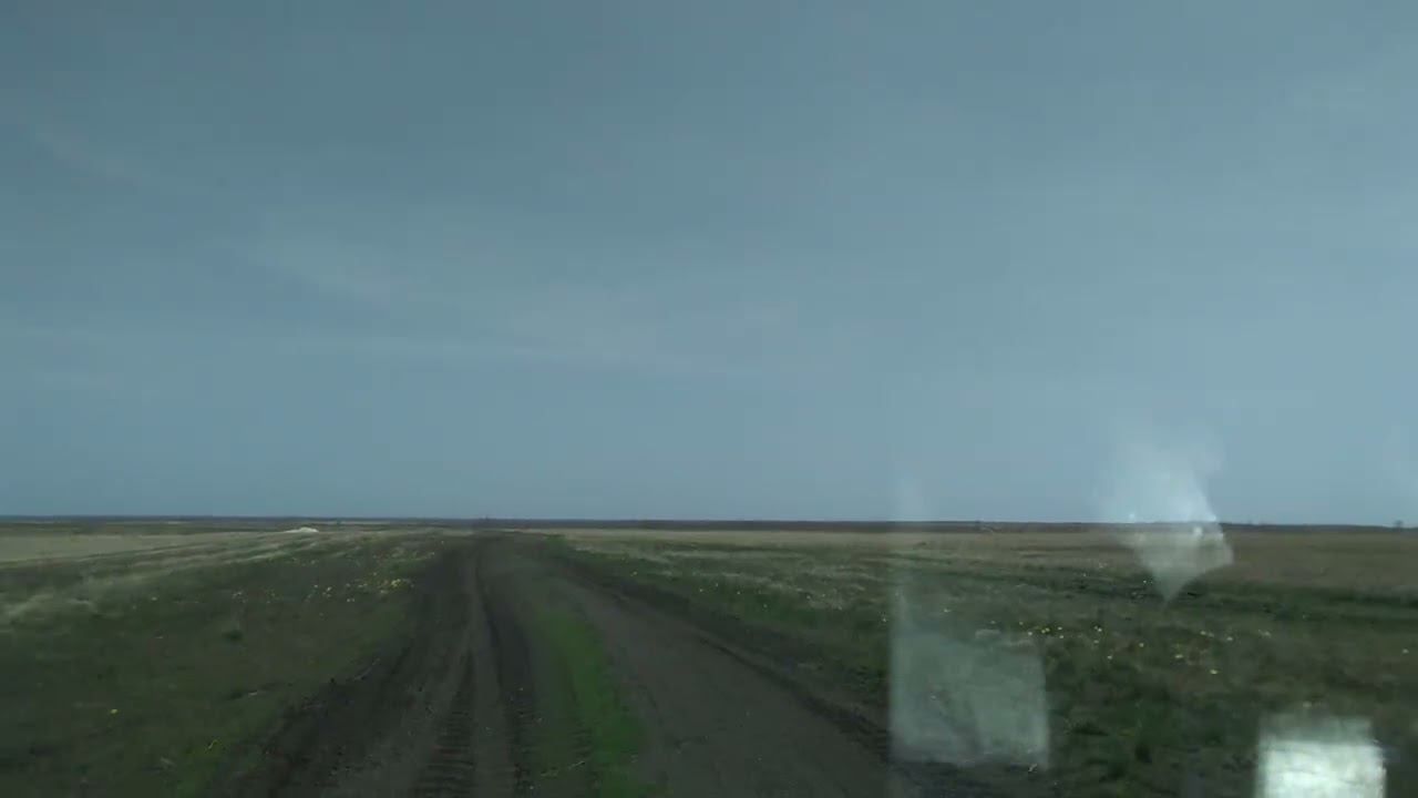 Едем по Синей горе, среди диких тюльпанов))