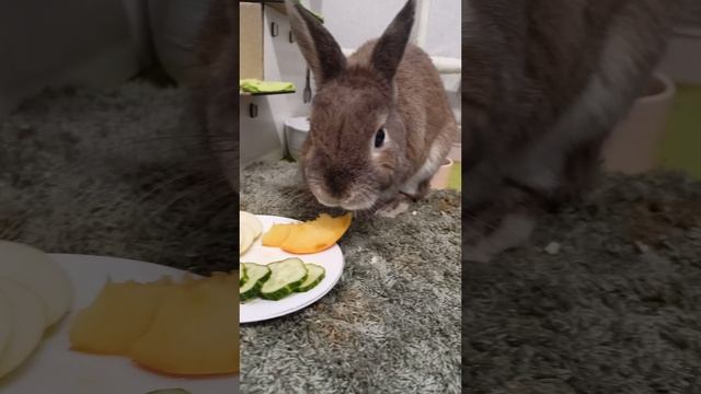 Ирискин и персик