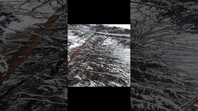 Это БОЖЕСТВЕННО КРАСИВО❄️❄️❄️?❤️?