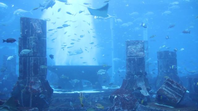 ОАЭ. Дубай. Аквариум Lost Chambers.