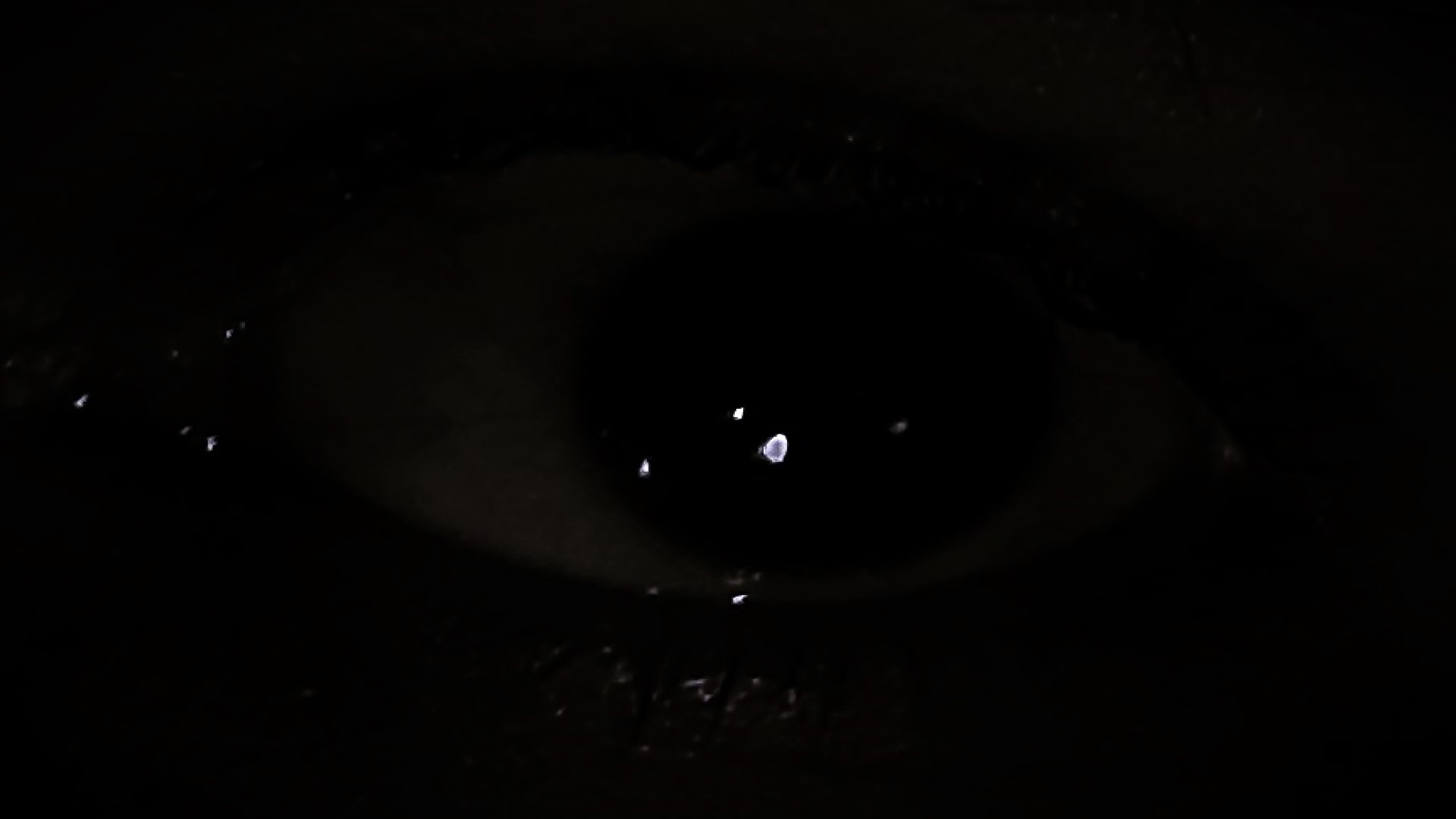 ЛИХО ОДНОГЛАЗОЕ - ПРОХОЖДЕНИЕ - ДЕМО (БЕЗ КОММЕНТАРИЕВ)