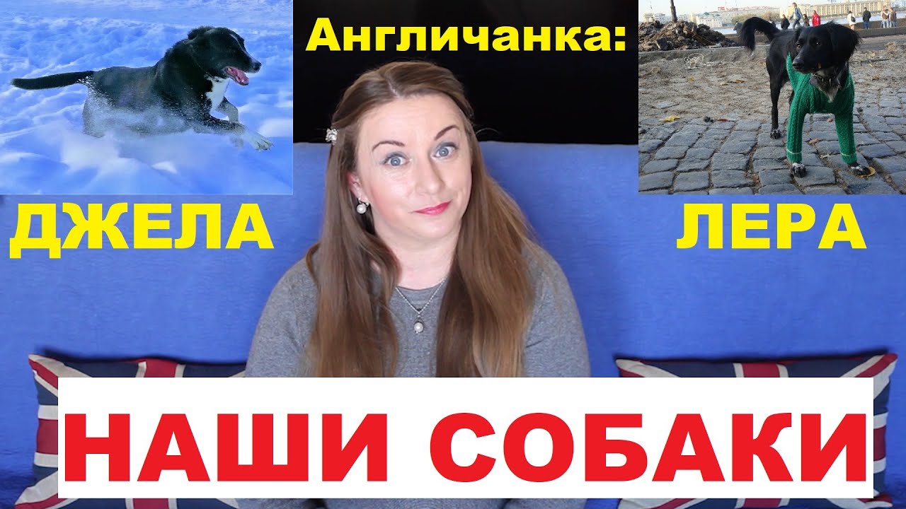 147. РОССИЯ: Санкт-Петербург: История и жизнь наших собак ЛЕРЫ и ДЖЕЛЫ.