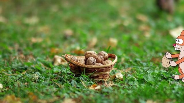 Усы. Лапы. Хвост. Хвостатый пенсионер