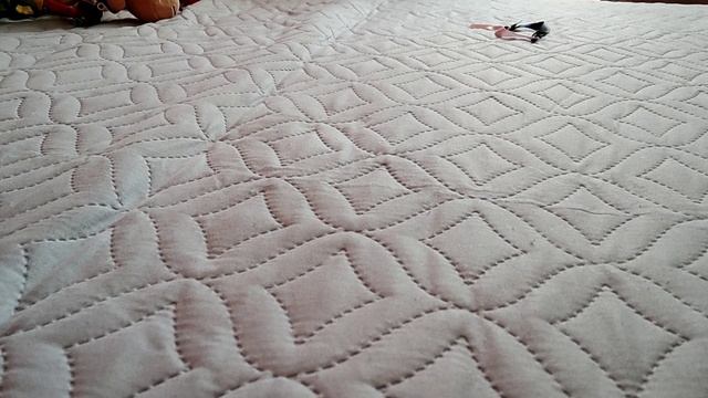 скибиди звери 12