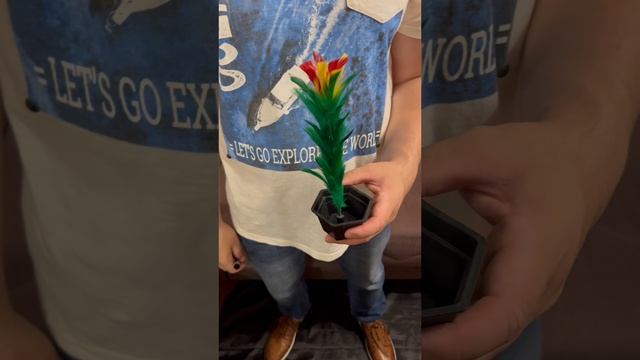 Волшебная палочка