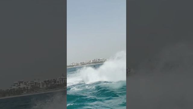 Отдых в Дубае ???