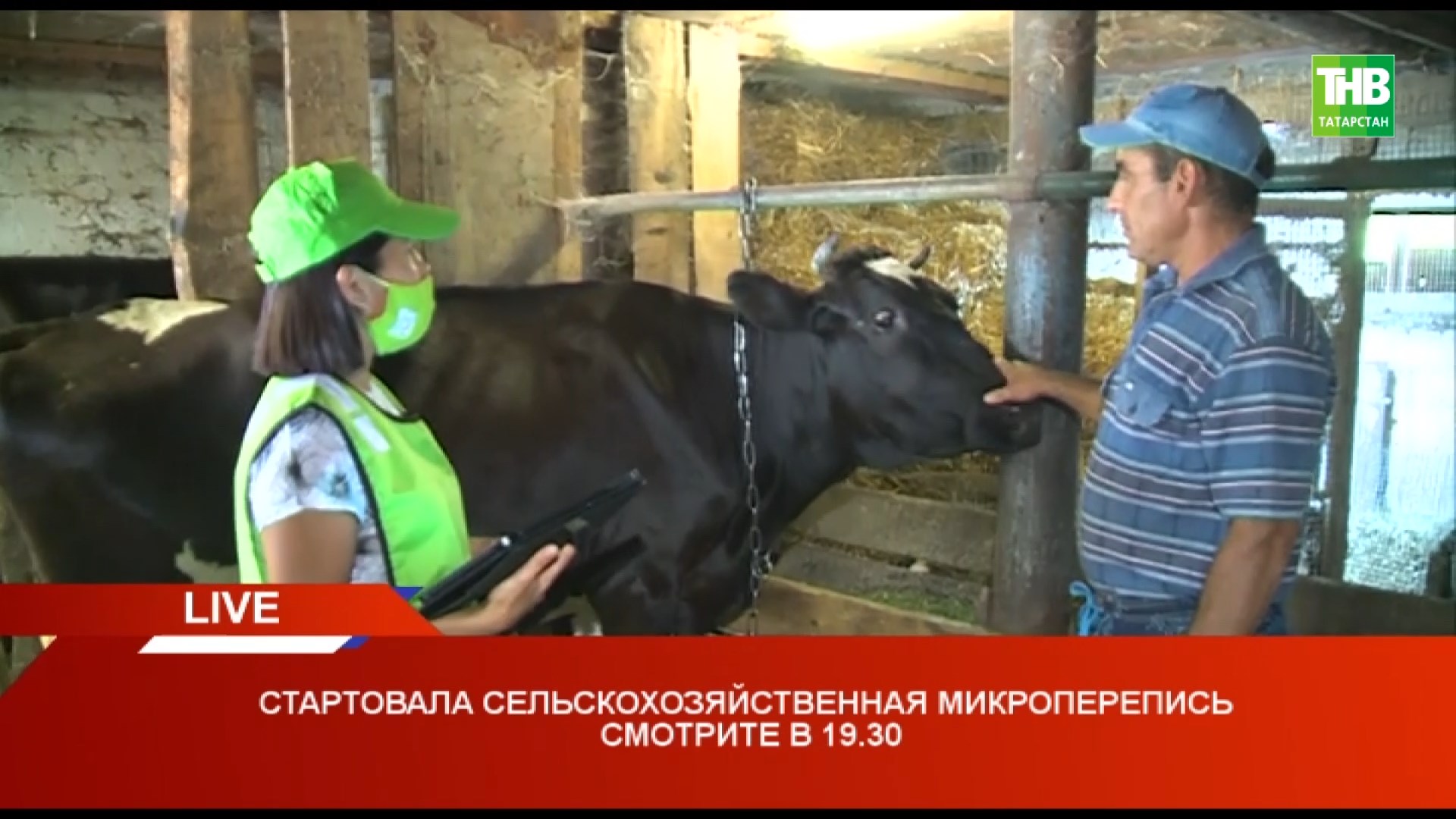 Стартовала сельскохозяйственная микроперепись * Казань 03/08/21 LIVE | ТНВ