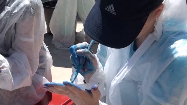 Артек 2016. Шедевр Ван Гога-как мозаика из гальки.mp4