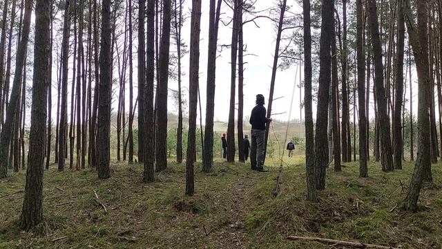 НАУКА НЕ СКУКА. ПТИЦЫ. ПОЛЕТЕЛИ