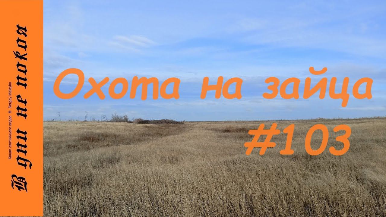 Охота на зайца. Выпуск № 103 18+