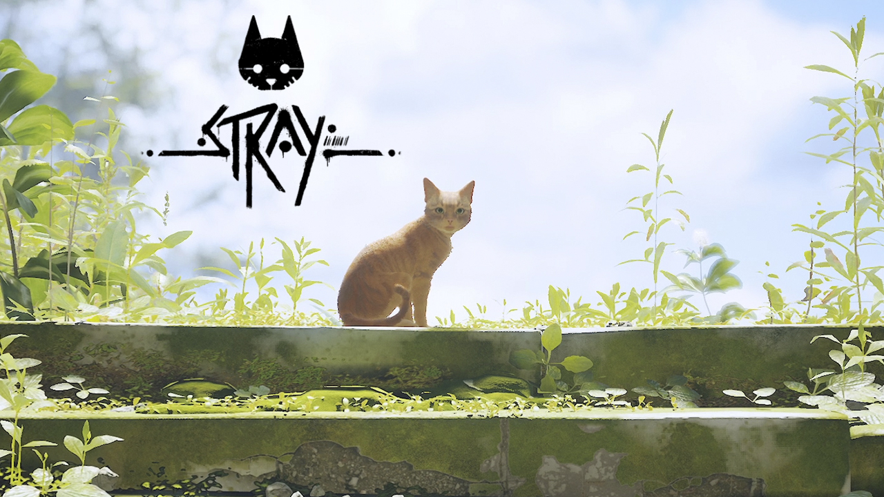 ОЧЕНЬ ГРУСТНЫЙ ФИНАЛ ➤ Stray #8