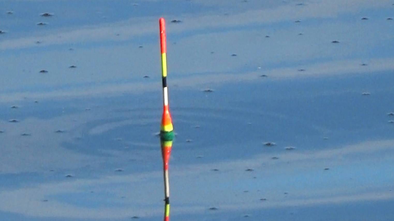 Рыбалка 25 июня! За крупным линем на удочки с поплавком и особой оснасткой!