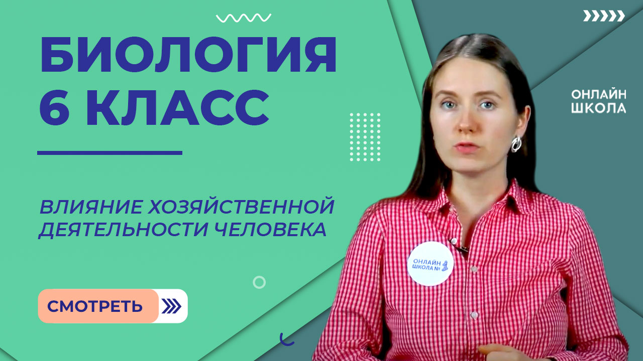 Влияние хозяйственной деятельности человека. Видеоурок 34. Биология 6 класс