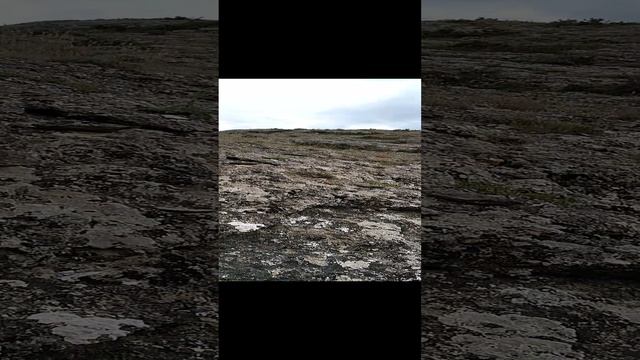 Будет шторм в Судаке смотрю с горы Алчак-Кая