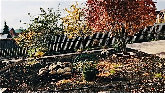 Завозим землю, поднимаем участок. Жизнь в деревне! Чем занимаемся.