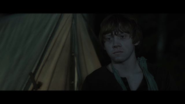 Гарри Поттер и Дары Смерти: Часть 1 (Фильм,2010)