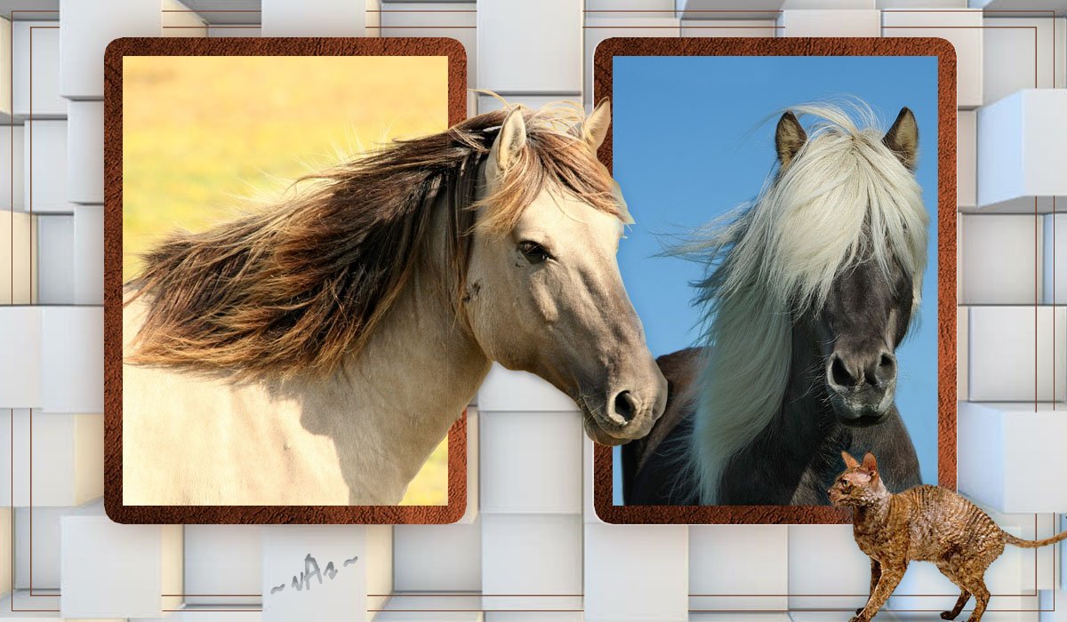 #безумнофотогенично