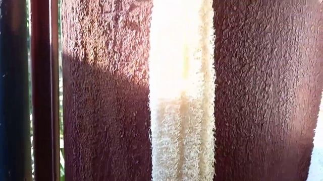 Рецепт самых вкусных огурцов.Люфа..mp4