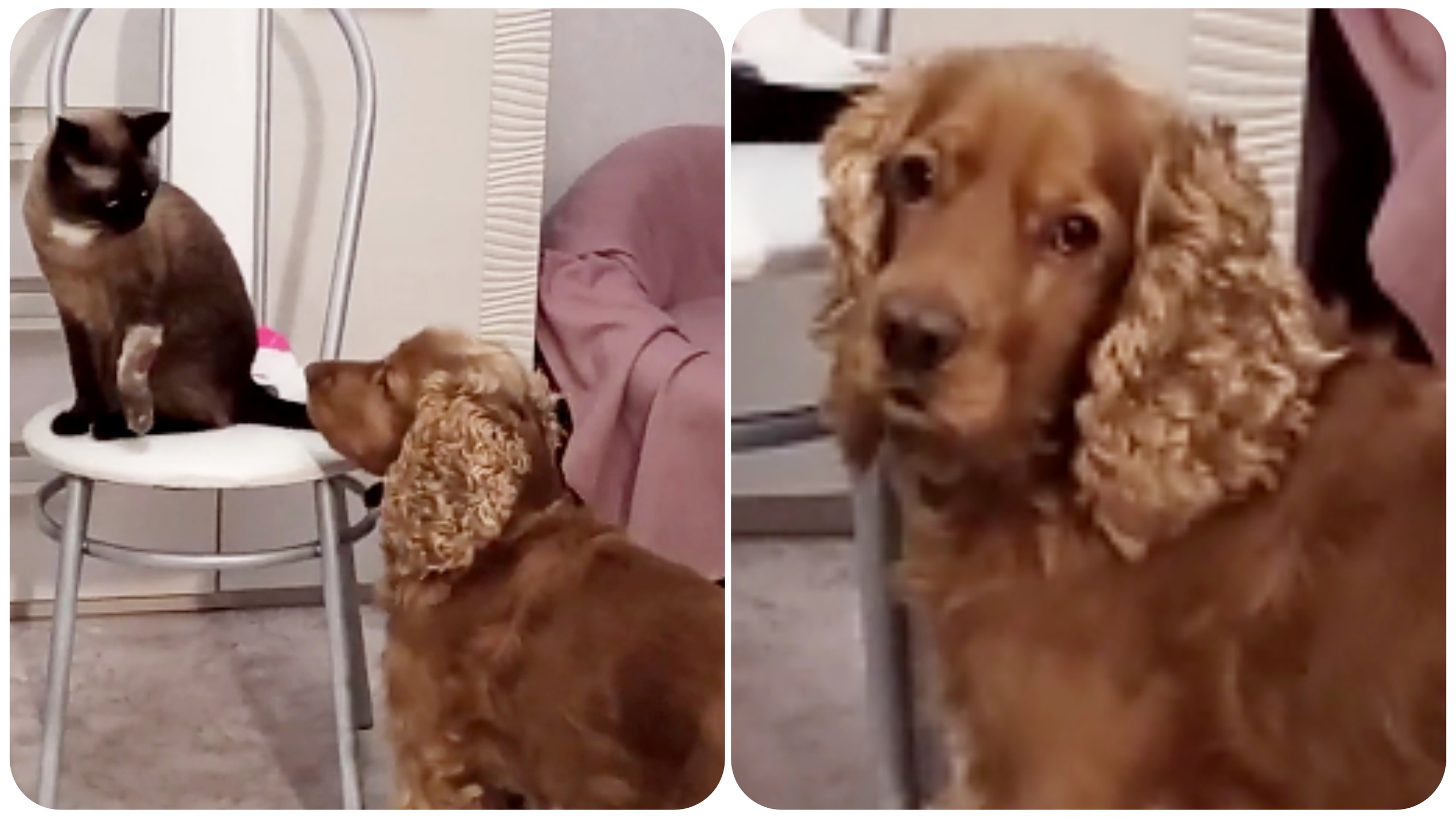 Наш неугомонный зоопарк в 4 часа ночи))