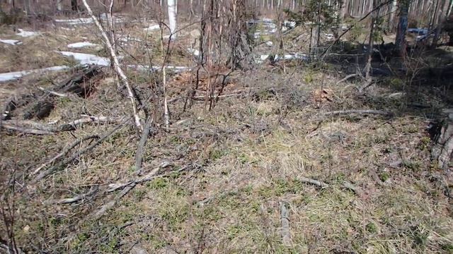 Вспомогательные способы ориентирования. Часть 16