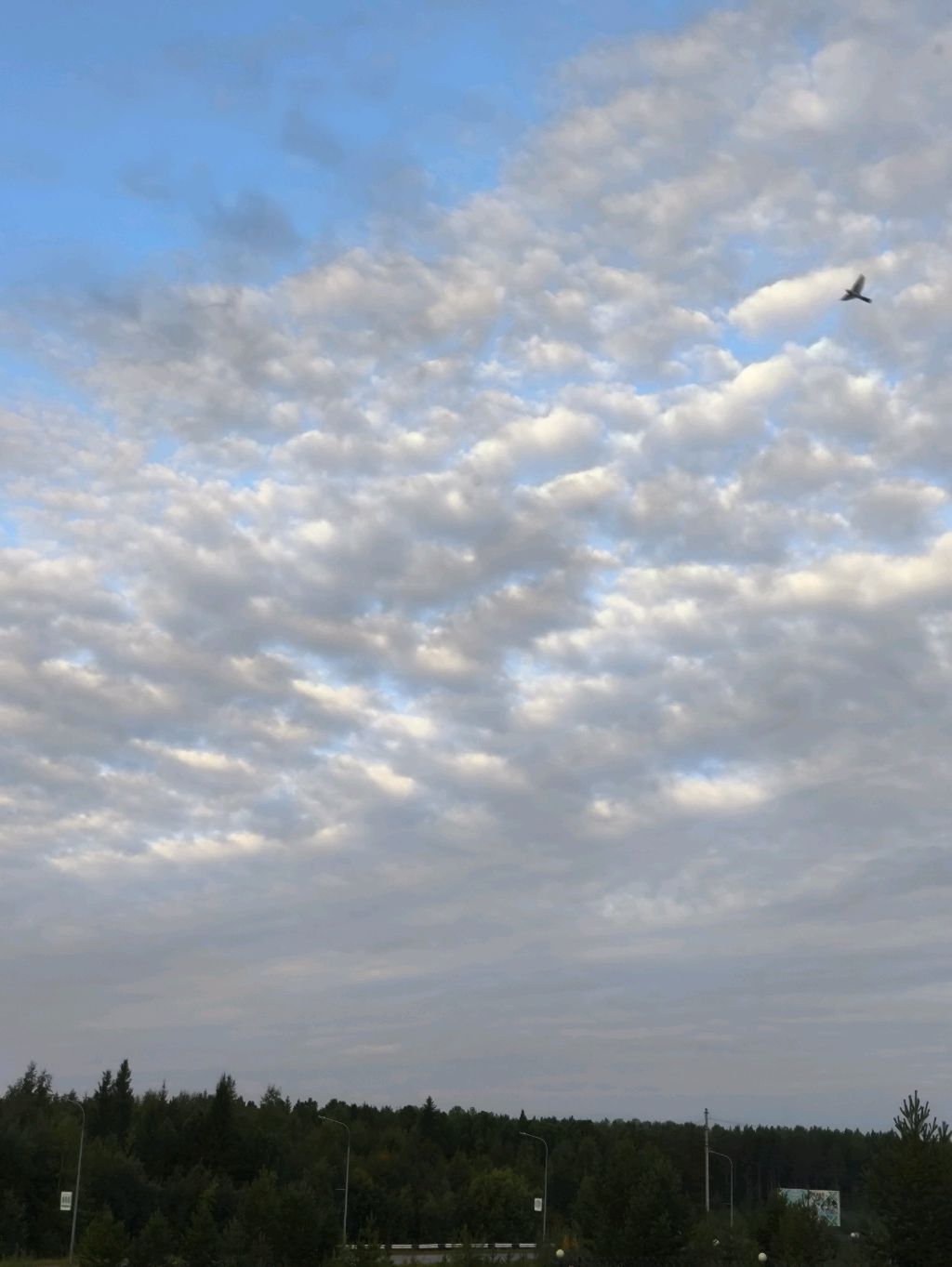 Доброе утро 🫶