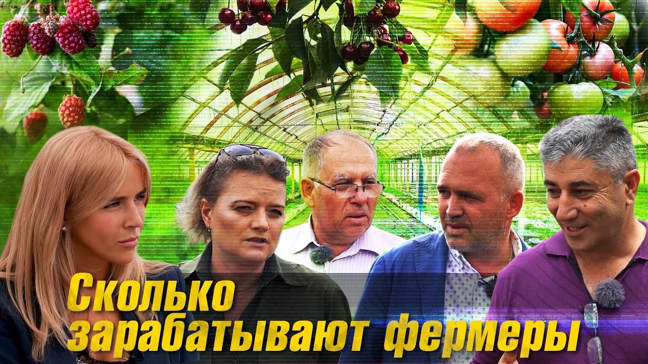Сколько зарабатывают фермеры. Программа "Лица"