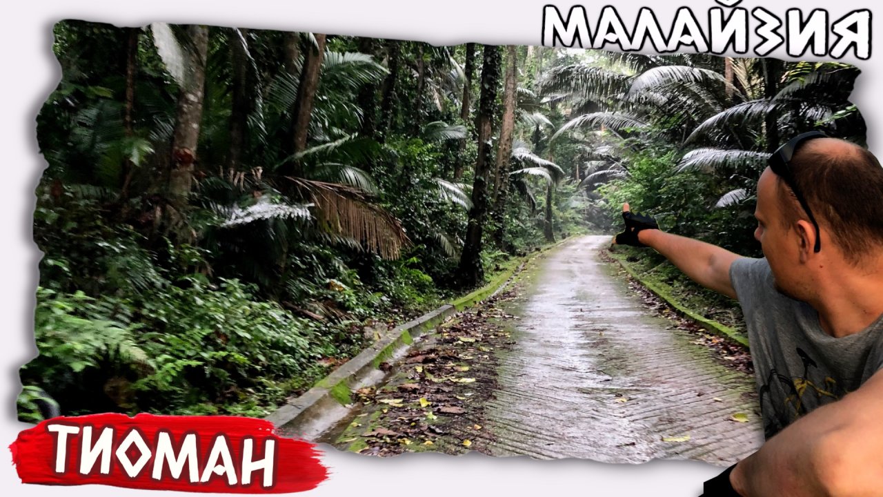 Тропики, джунгли, Малайзия