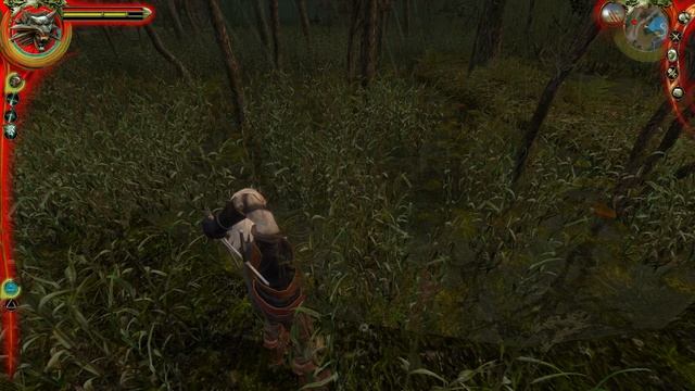 Прохождение The Witcher. #18