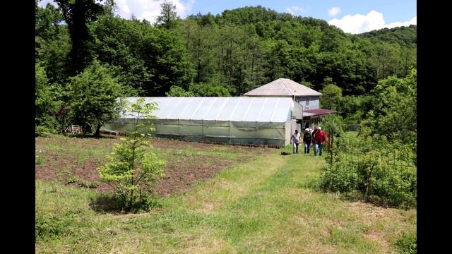 ХОЗЯЙСТВО "БАТАТ-ЧУДО", ЧАСТЬ 1