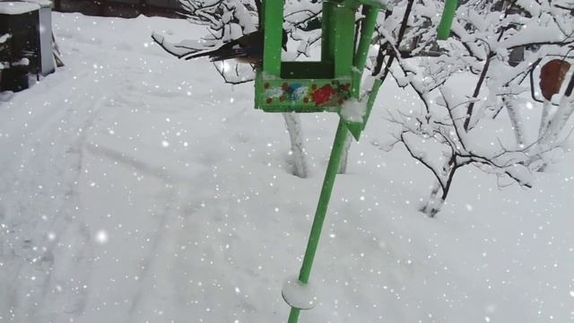 Кормушка для птиц ?❄️☃️