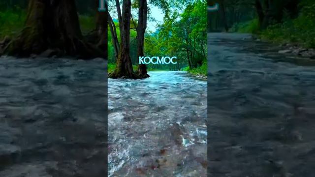 ⚡ Любви Любви Любви