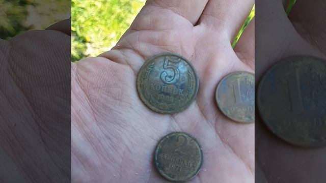 воскресная прогулка.