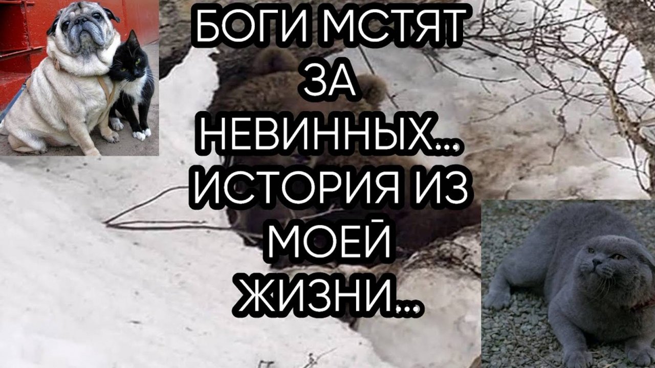 БОГИ МСТЯТ ЗА НЕВИННЫХ…ИСТОРИЯ ИЗ МОЕЙ ЖИЗНИ…