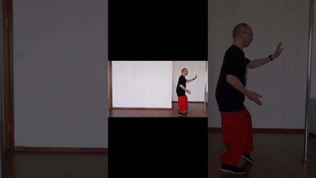 Тайцзи Дантьянь Нейгун (5)