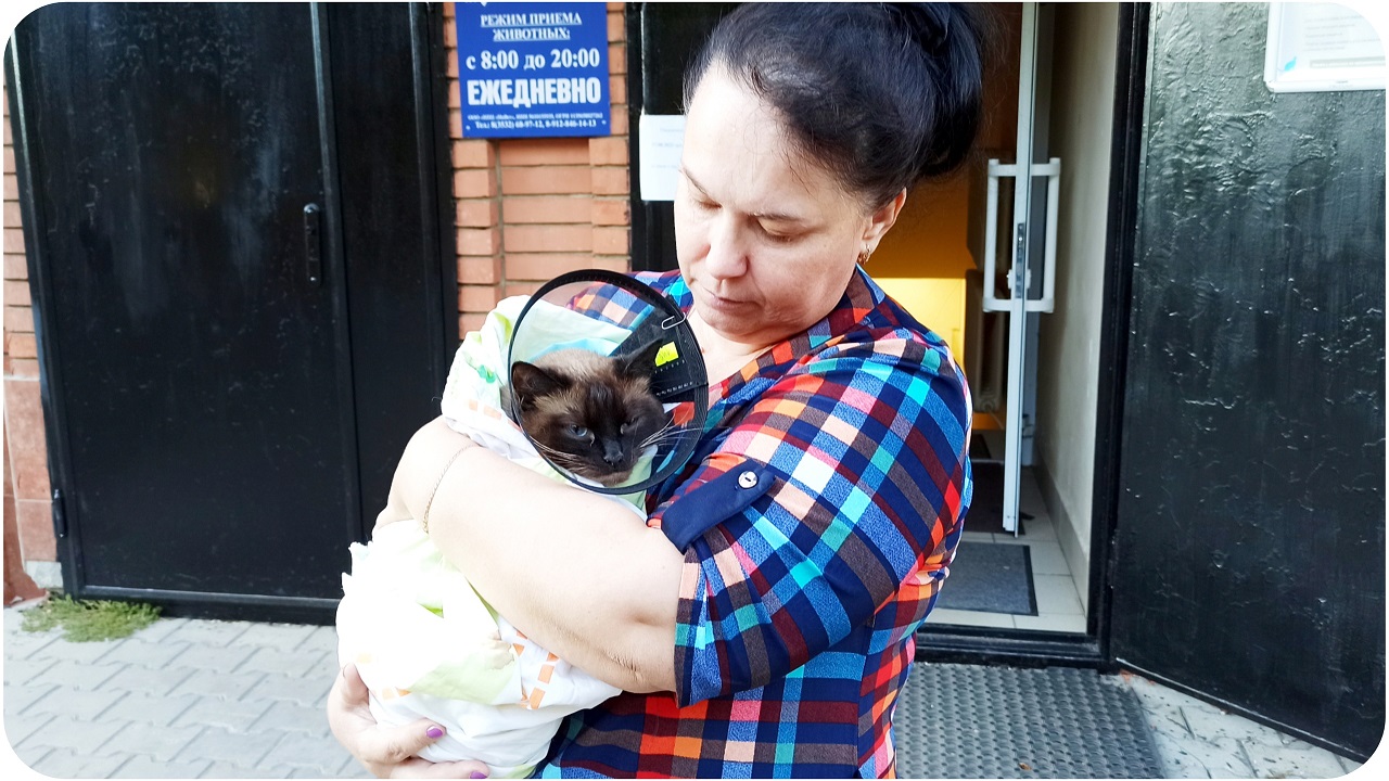 Надеемся на лучшее. Выхаживаем нашу непоседу.