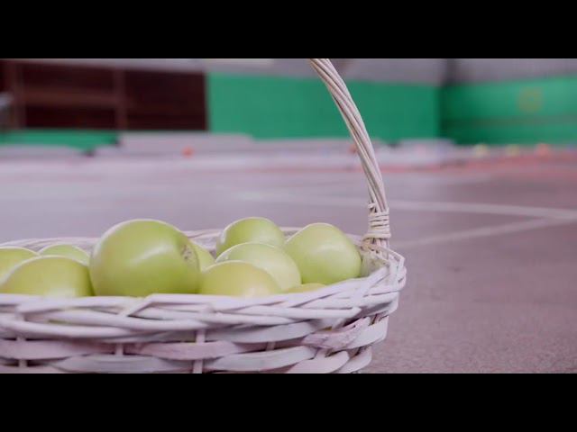 «День здоровья – 2024» в СК на Оренбургском тракте