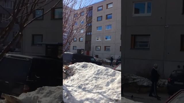 Улица Калевала Костомукша Карелия #Костомукша #Карелия #Россия #слава10rus #слав