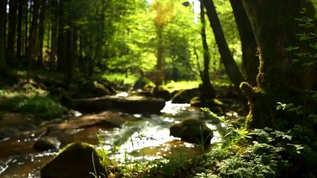 CHOPIN - SPRING WALTZ BEAUTIFUL RELAXING PIANO MUSIC [niM9n_n5WJg].mp4